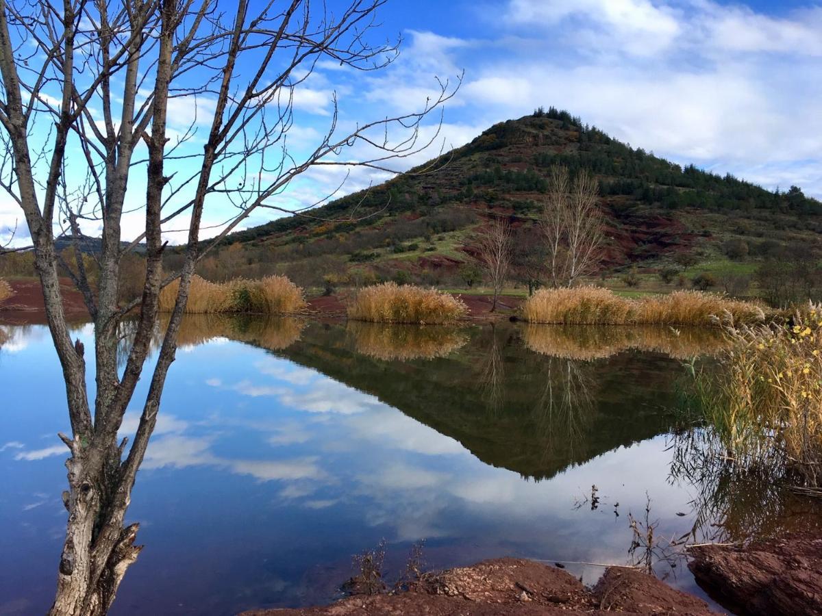 Proche Lac Du Salagou, Chambre Agreable Avec Salle D'Eau Et Wc Prive Lacoste  Kültér fotó
